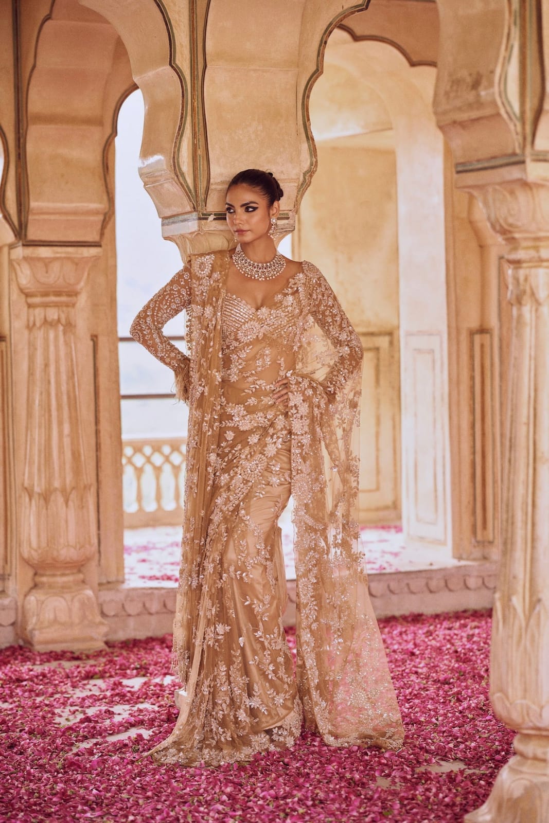 Zari Enchantment Saree