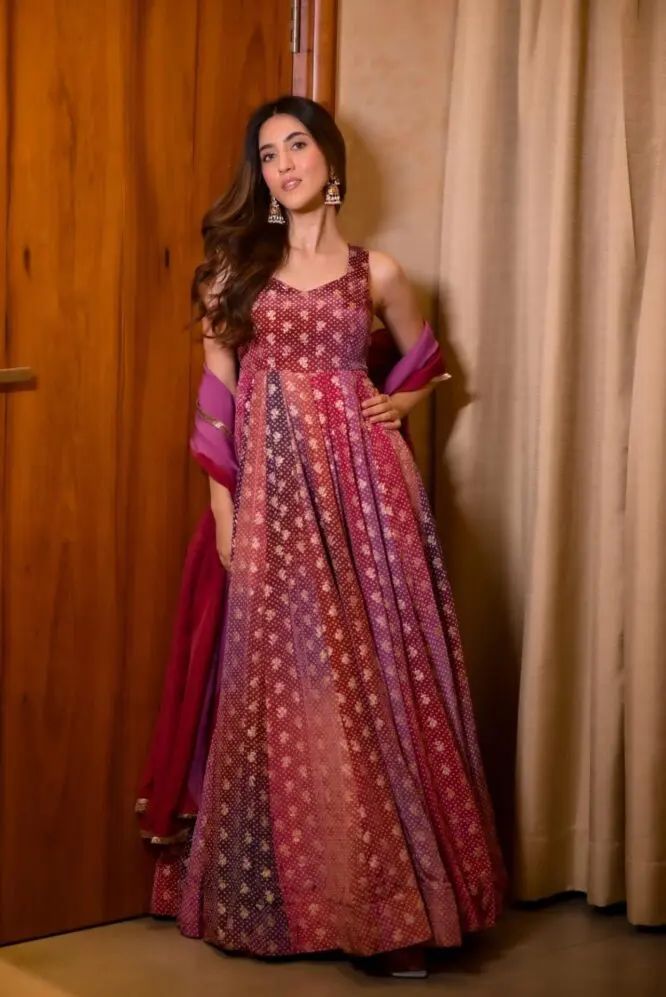 Vairea Organza Anarkali Gown