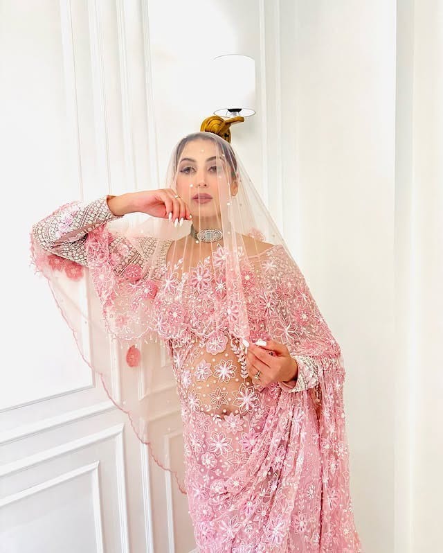 Rose Riwaayat Saree