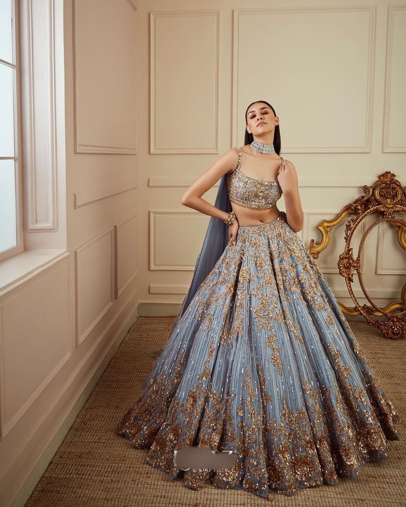 Exquisite Grey Lehenga Choli