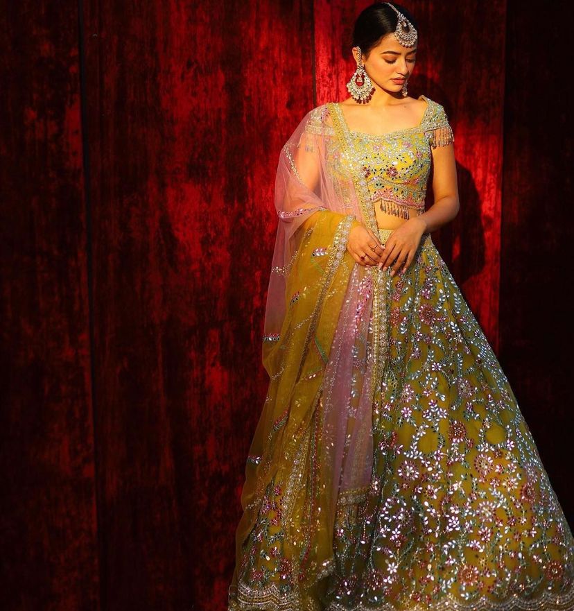 Charming Chandni Lehenga Choli