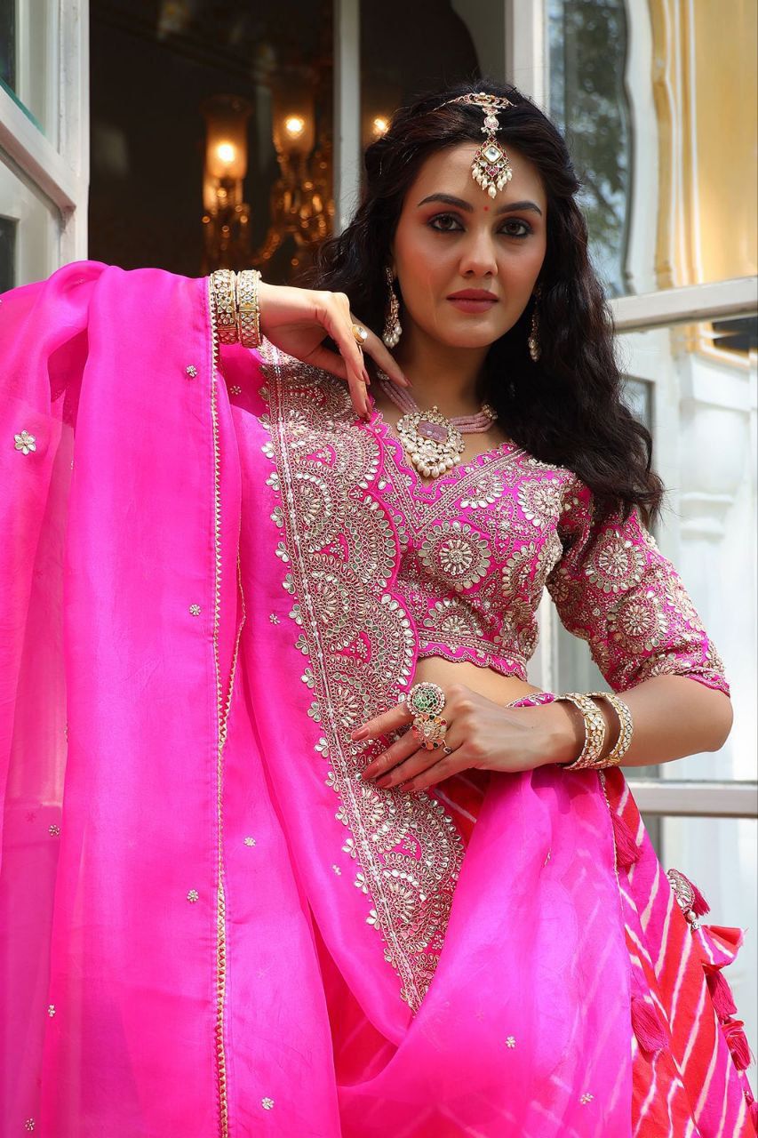 Pink Eleganza Lehenga set