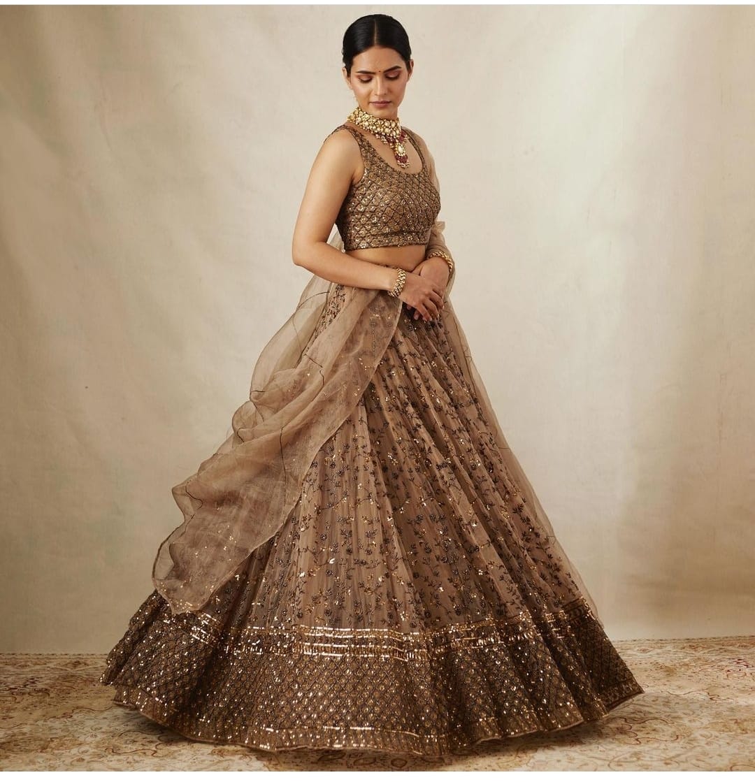 Matsya Glimmer Lehenga set