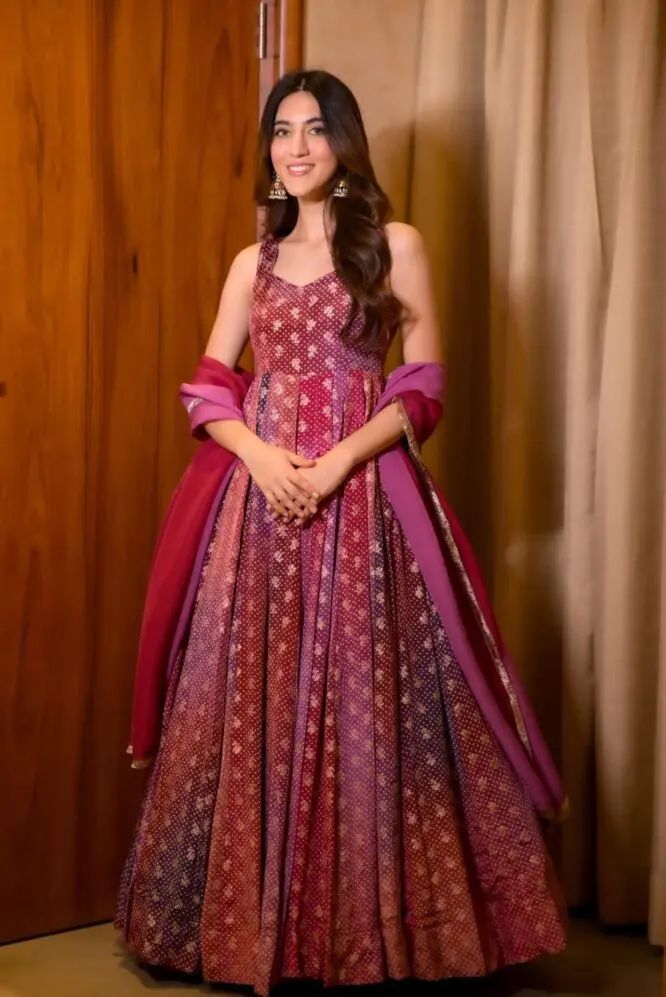 Vairea Organza Anarkali Gown