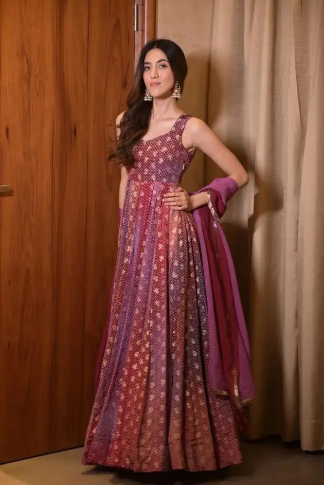 Vairea Organza Anarkali Gown