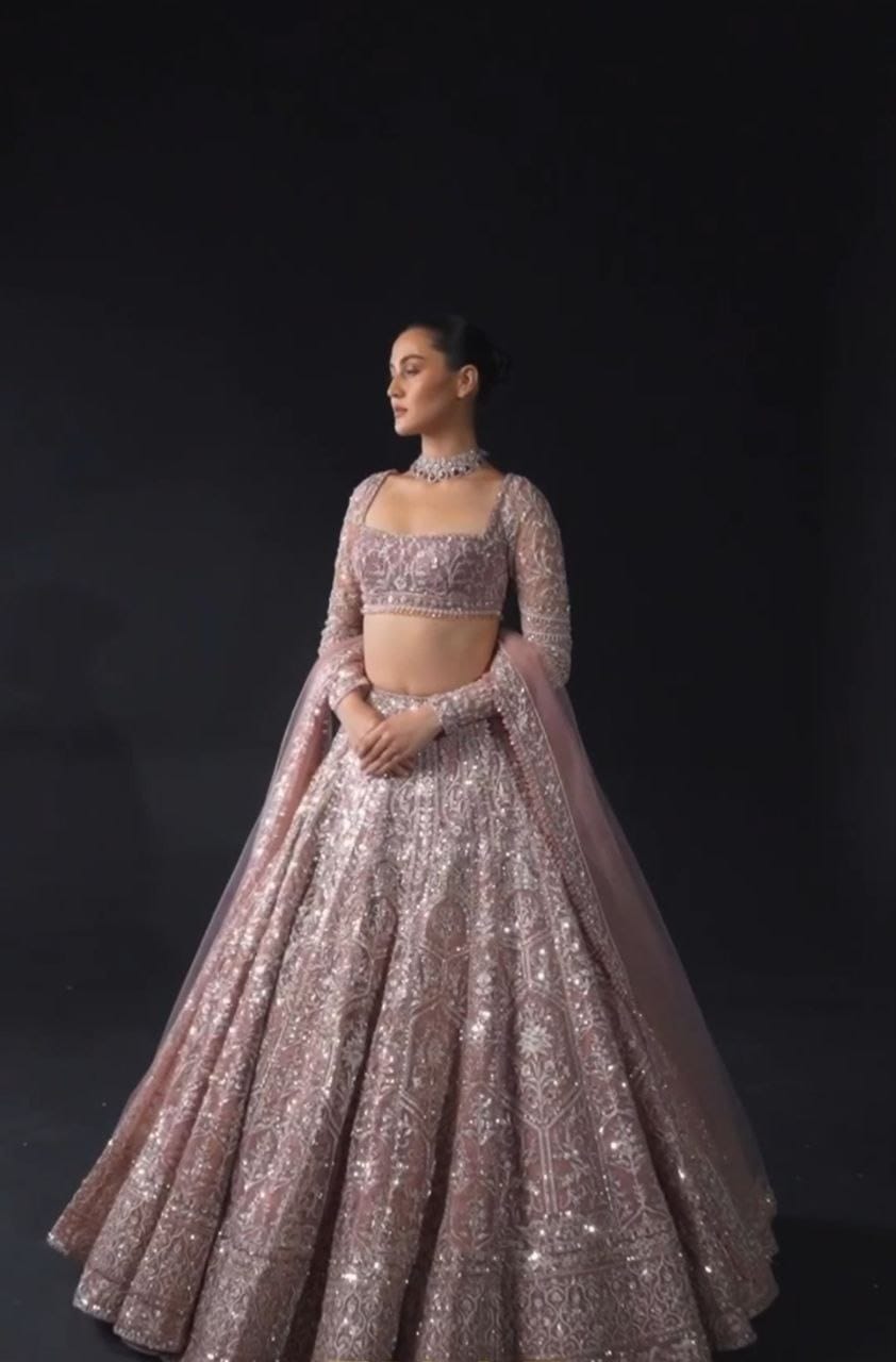 Ruby Elegance Lehenga Set