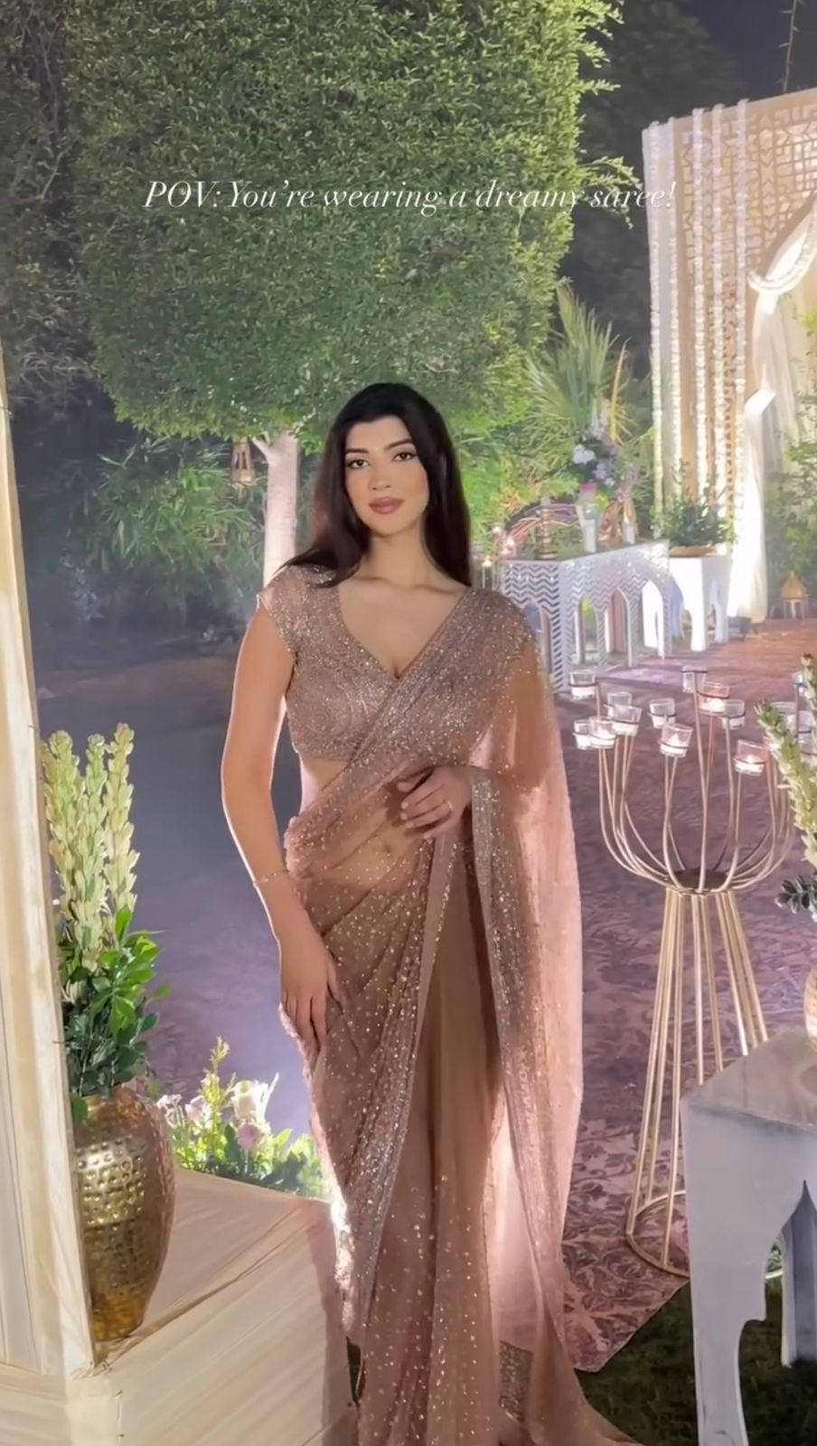 Golden Veil Saree