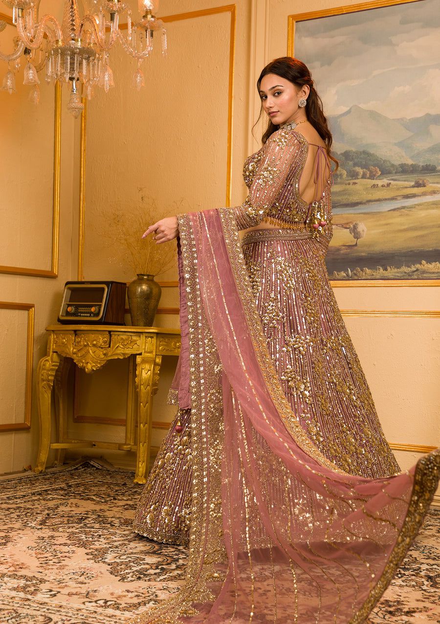 Opulent Lehenga Choli