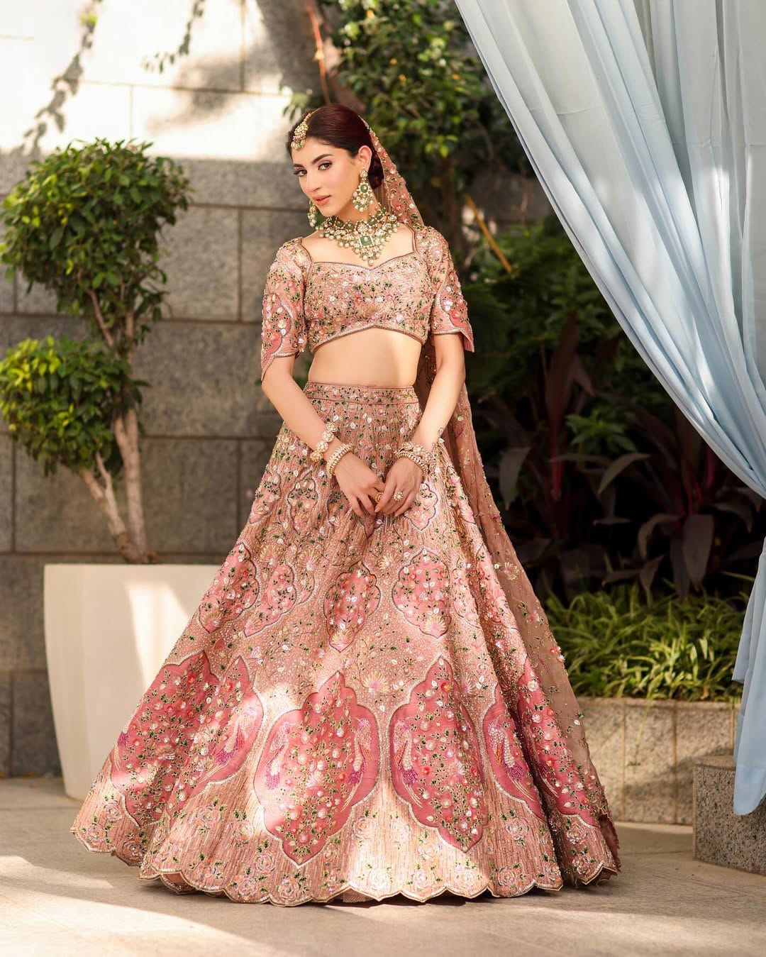 Rosebutterfly Royalty Lehenga Choli