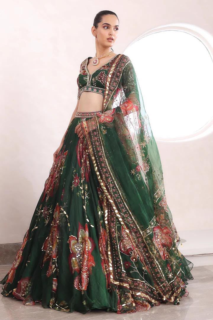 Morpankh Rang Lehenga Choli